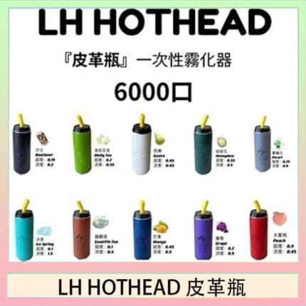 LH HOTHEAD皮革瓶電子煙可充電6000口一次性